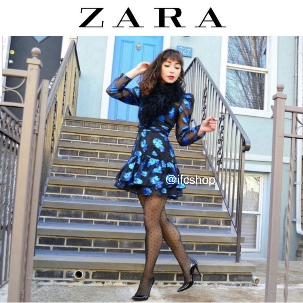 NWT Zara Floral Organza Mini Dress